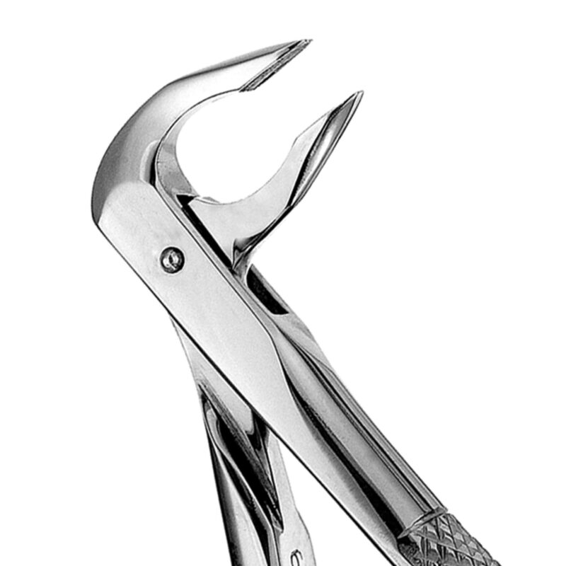 74N European Style Apical Forceps - Image 2