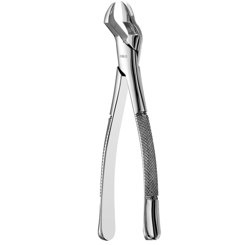 88L Nevius Upper Molars, Atlas
